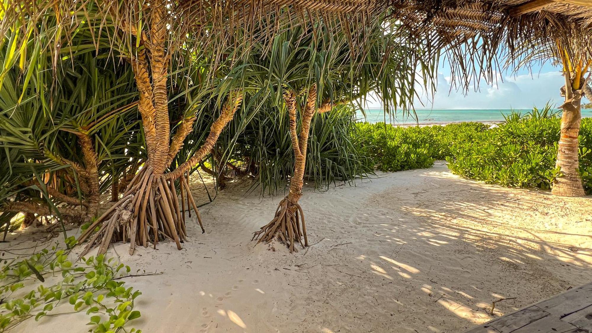 Infinity Boutique & Hotel Matemwe (Zanzibar)